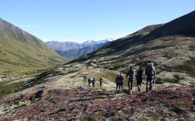 Alaska Challenge – Wickes fund-raising finds new heights