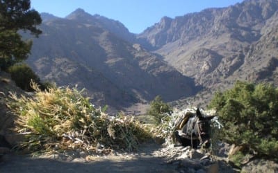 Moroccan Mountain Madness