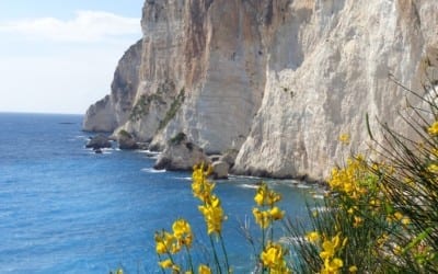 Passionate for Paxos