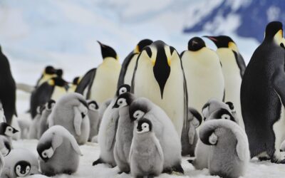 Polar Moments