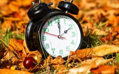 New trips for 2026 …